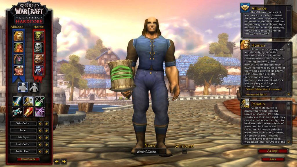 Wow Hardcore Paladin selection on create a character menu
